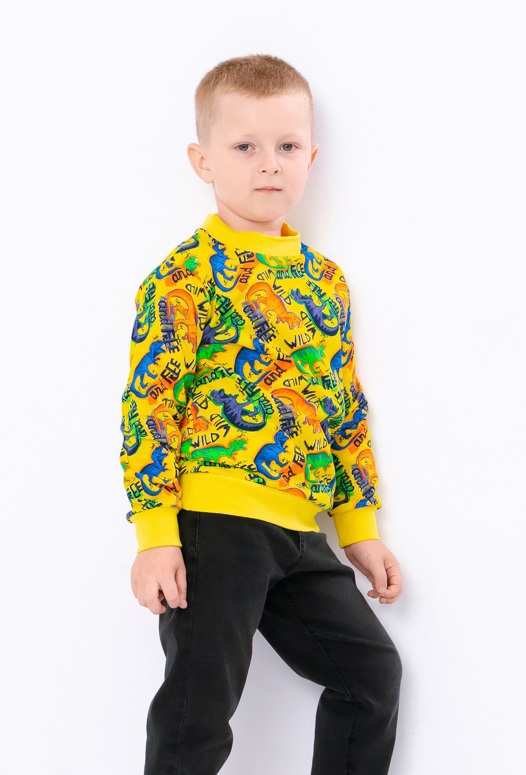 Sweatshirt (boys), 6069-024-4 HC p-8280