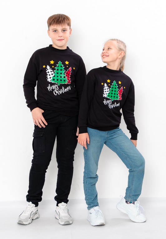 Sweatshirt "Family look"(kids unisex), Winter, 6344-F HC p-12559